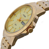 Citizen • BF2013-56P • Quartz