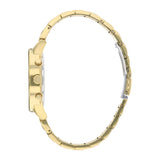 Citizen Axiom AT2242-55E