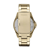 Fossil - ES3203 - Riley