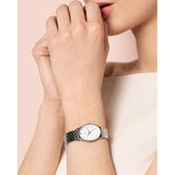 Rosefield- OWGSS-OV03- Montre Femme Ovale Argent Perle