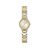 Guess - GW0468L4 -0546L1 and Crystal Montre analogique